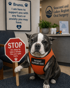 Photo of Bruno, Emotional Support Dog